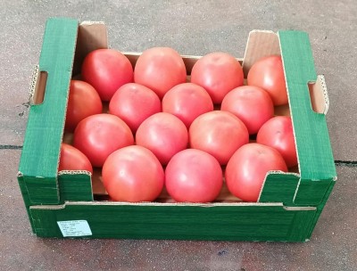Foto Pomodoro Da Riso Origine Turchia Marchio Lenas Fruit 1